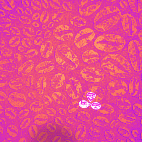 SweetRooBou giphyupload thanks thankyou appreciation GIF