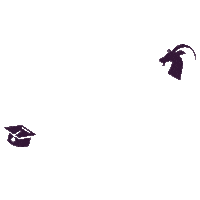 Work Discover Sticker by IAESTE Poland
