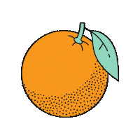 Orange Fruit Sticker by Wonderbelly