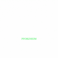 WalkInTattooBK green tattoostudio pforzheim walkin GIF