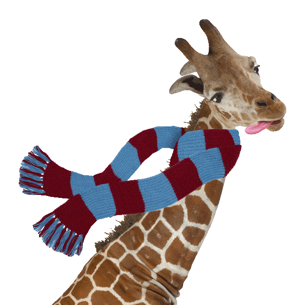 Party Animals Winter Sticker by chris timmons