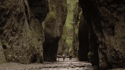 oregon GIF