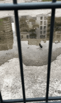 maikenlaackmann digital ar c4d digitalart GIF