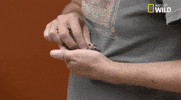 nat geo wild pets GIF by Dr. K's Exotic Animal ER