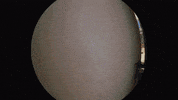 Los Angeles Film GIF by Local Natives