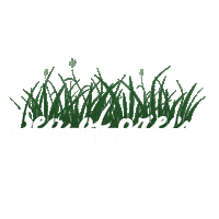 Bali Bisma Sticker by bismacottages