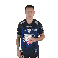 Football Sport Sticker by INDEPENDIENTE DEL VALLE