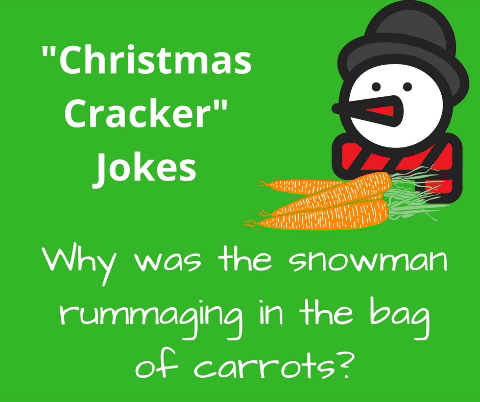 jokes snowman GIF