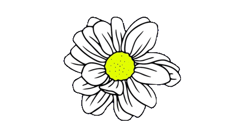 Beauty Flower Sticker