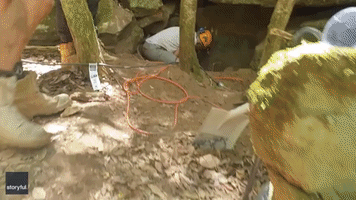 Aussie Community Comes Together to Rescue Dog Stuck in Crevice for 2 Days