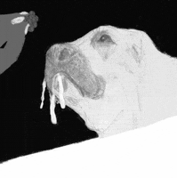 candiceevers dog food puppy hungry GIF