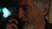 Bau Davidrossi GIF by Paramount+