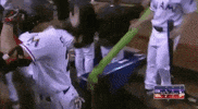 mlb sports baseball mlb home run GIF