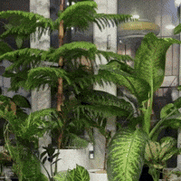 Best GIF