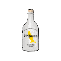 Party See Sticker by GinLago