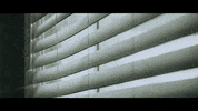 Scared Flag GIF by Pure Noise Records