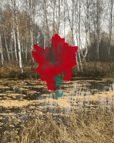 Art Augment GIF by Aleksey Efremov