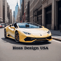 Car GIF by HOSSDESIGNUSA