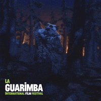 Screaming Lets Go GIF by La Guarimba Film Festival
