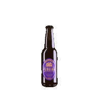 Beer Cheers Sticker by Biera Paolina