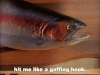 season 2 GIF