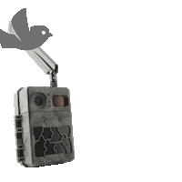Bird Vogel Sticker by SECACAM