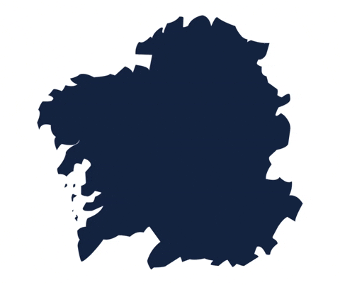 GIF by Federación Galega de Voleibol