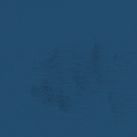 Voting South Carolina GIF by Creative Courage