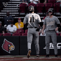 Celebrate College World Series GIF by Vanderbilt Athletics