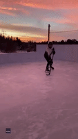 Dog Coaches Hockey Player on Backyard Ice Rink