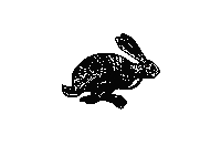 Cartoon Bunny Sticker