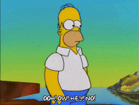 homer simpson GIF