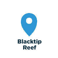coral reef ocean Sticker by National Aquarium