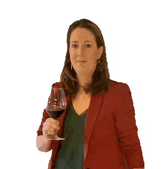 JKVirtualAssistant giphyupload cheers wine proost Sticker