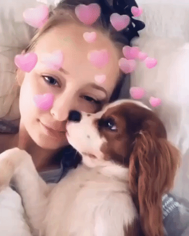 Tiny Puppy Fed Up With Selfies