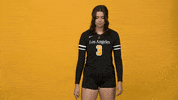 Volleyball GIF by Cal State LA Golden Eagles