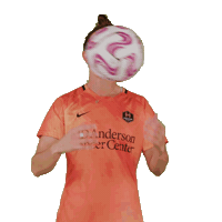 Houston Dash Sport Sticker by National Women's Soccer League