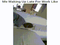 monday getting GIF