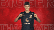 Hansa Rostock Vbl GIF by Bundesliga