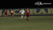 north dakota state soccer GIF by NDSU Athletics