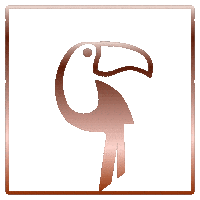 Beach Bird Sticker by tucann