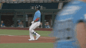 Happy Major League Baseball GIF by MLB