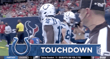 Indianapolis Colts Football GIF by NFL