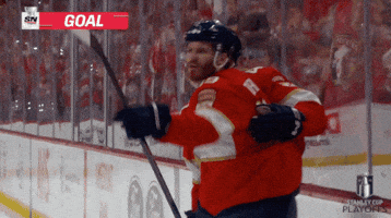Matthew Win GIF by NHL