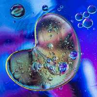 antonza heart blue move beat GIF