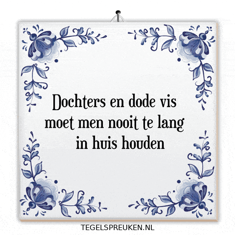 Humor Nl GIF by Tegelspreuken.nl