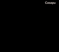 Monkey Lion GIF