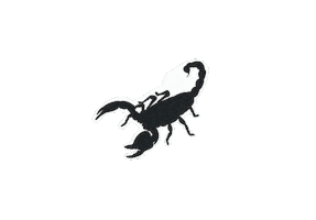 margotpollard taylor swift folklore mad woman scorpian Sticker