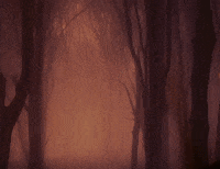 Cat Staff GIF by Halloween