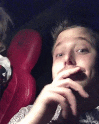 What GIF by NOSAM